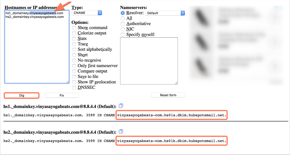 dig-web-interface