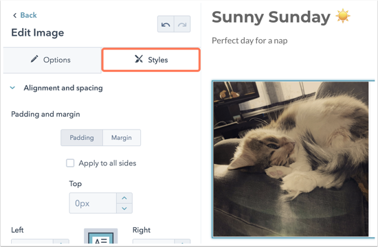 edit-styles-in-page
