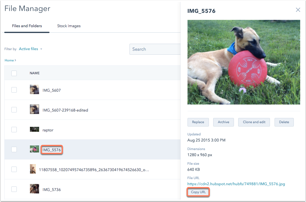 User-added image